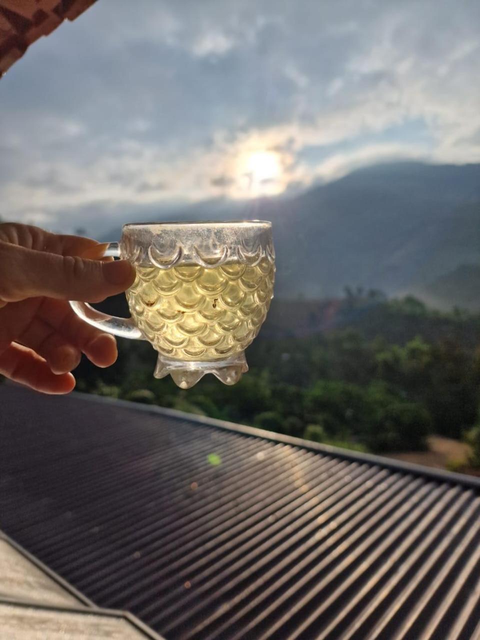 Farm Co Chu Tuan Ha Bed and Breakfast Νταλάτ Εξωτερικό φωτογραφία