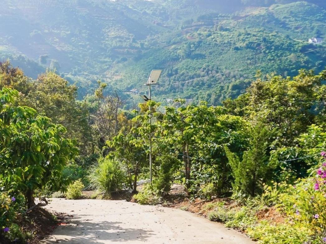 Farm Co Chu Tuan Ha Bed and Breakfast Νταλάτ Εξωτερικό φωτογραφία