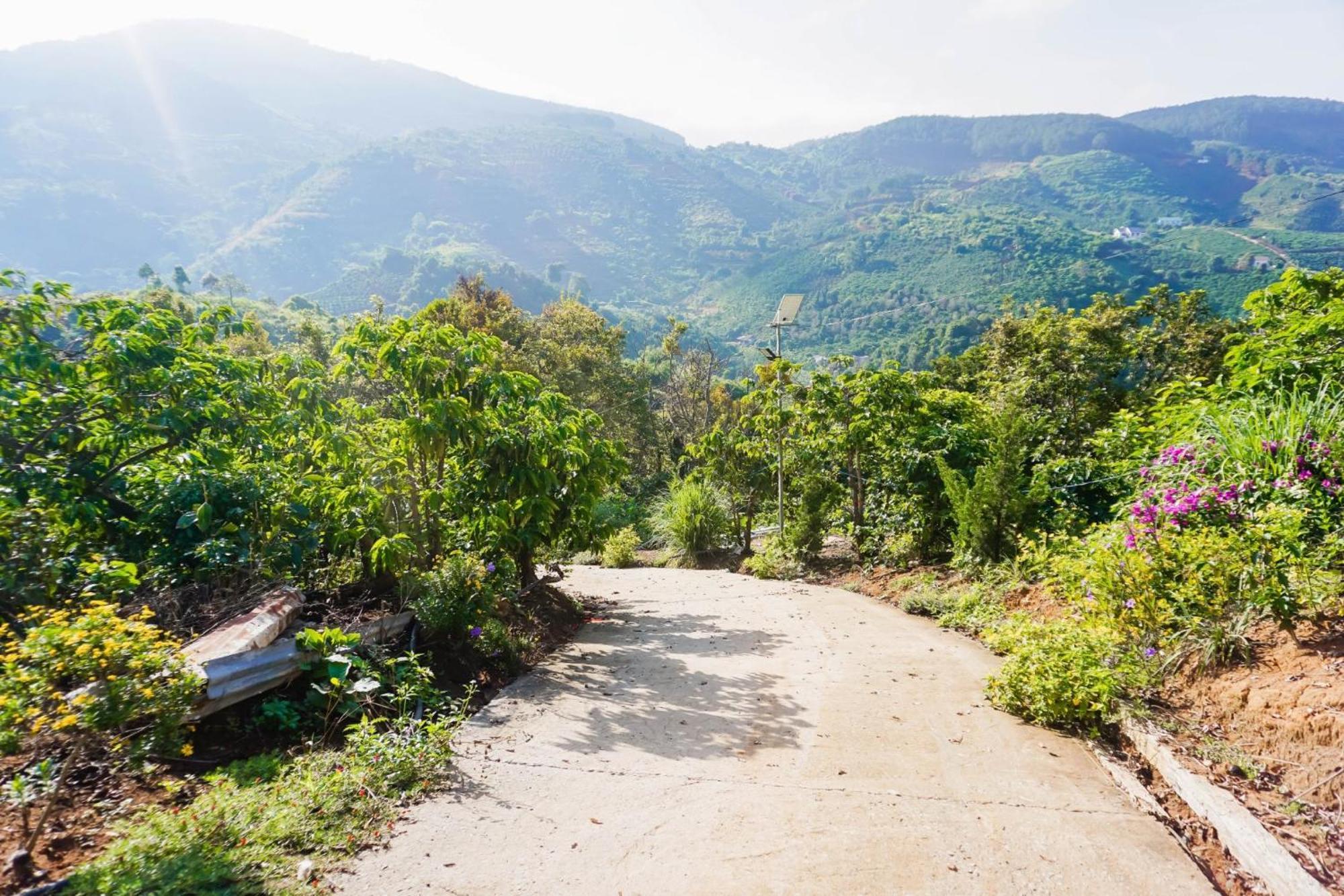 Farm Co Chu Tuan Ha Bed and Breakfast Νταλάτ Εξωτερικό φωτογραφία